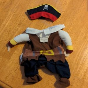 Cat/ small dog pirate costume